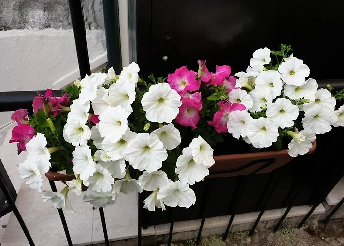 ベッド・アンド・ブレックファスト Golden スプリト