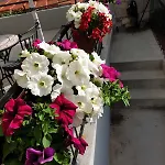 Golden Bed & Breakfast 3*