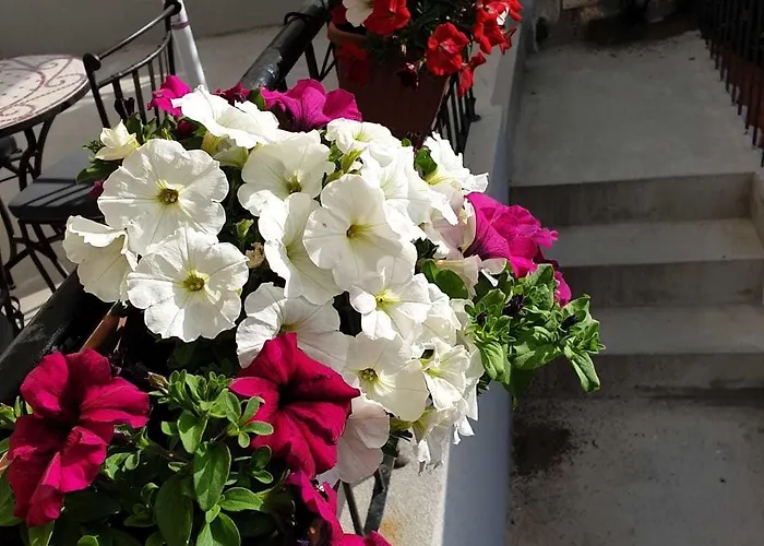 Golden Frühstückspension 3*