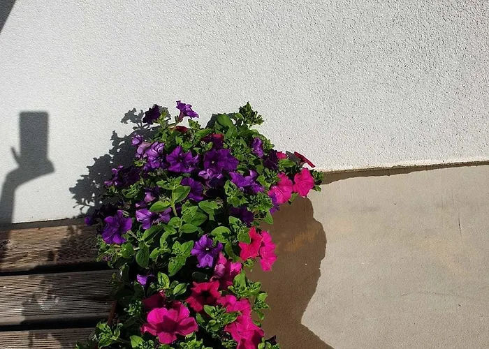 Golden 3* スプリト